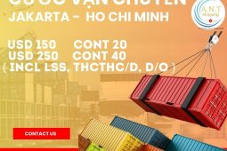 Cước vận chuyển quốc tế Indonesia- Hồ Chí Minh