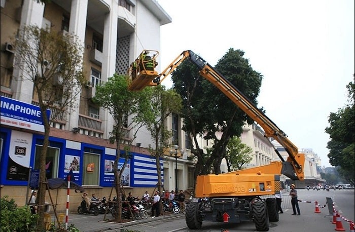 Xe Cẩu Xuân Mười có nhiều năm kinh nghiệm trong lĩnh vực cho thuê xe cẩu cây xanh