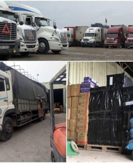 Chành xe Sài Gòn Quảng Ngãi